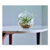 Bumpers, 0.5" Dia, Clear, 40/Pack