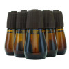 Essential Mist Refill, Fresh Waters, 0.67 Oz, 5/Pack