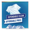 Liquid Laundry Detergent, Mountain Breeze Scent, 150 Oz Bottle