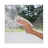 Foaming Glass Cleaner, 19 Oz Aerosol Spray