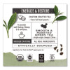 Organic Teas And Teasans, 1.27 Oz Filterbag, Gunpowder Green, 18/Box