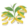 Green Tea With Lemon, Lemon, 0.34 Lbs, 28/Box