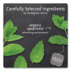 Steep Tea, Mint, 1.41 Oz Tea Bag, 20/Box