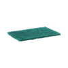 Heavy-Duty Scouring Pad, 6 x 9, Green, 15/Carton