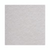 Light-Duty Scouring Pad, 6 x 9, White, 20/Carton