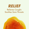 Triple Action Cough Drops, Honey-Lemon, 30/Bag, 12 Bags/Box