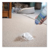 Liquid Alive Enzyme Digestant Carpet And Textile Cleaner/Deodorizer, 18 Oz Aerosol Spray, 12/Carton