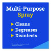 Cloroxpro Cleaner Degreaser Disinfectant, 32 Oz Spray, 12/Carton
