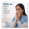 Plus Lotion Facial Tissue, 2-Ply, White, 124 Sheets/Box, 6 Boxes/Pack, 4 Packs/Carton