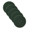 Scrubbing Pads, 20" Diameter, Green, 5/Carton