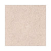 Natural Hog Hair Burnishing Floor Pads, 20" Diameter, Tan, 5/Carton