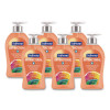 Antibacterial Hand Soap, Crisp Clean Scent, 11.25 Oz, 6/Carton