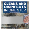 Disinfecting All-Purpose Spray And Glass Cleaner, Fresh Scent, 1 Gal Bottle, 3/Carton
