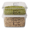 Spacesaver Square Containers, 4 Qt, 8.8 x 8.75 x 4.75, Clear, Plastic