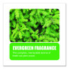 Non-Para Toilet Bowl Block, Lasts 30 Days, Evergreen Scent, White, 12/Box