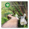 Scented Oil Warmer, 1.75 x 2.69 x 3.63, White, 6/Carton