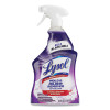 Mold And Mildew Remover With Bleach, Unscented, 32 Oz Spray Bottle, 12/Carton