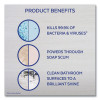 Mold And Mildew Remover With Bleach, Unscented, 32 Oz Spray Bottle, 12/Carton