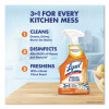 Kitchen Pro Antibacterial Cleaner, Citrus Scent, 22 Oz Spray Bottle, 9/Carton