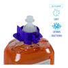 Foam Antibacterial Handwash, Fresh Fruit Scent, 1,250 Ml Refill, 4/Carton