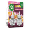 Scented Oil Refills, Summer Delights, 0.67 Oz, 2/Pack, 6 Packs/Carton