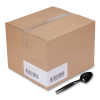 Caterline Plastic Serving Spoons, 9", Black, 144/Carton