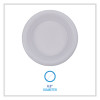 Hi-Impact Plastic Dinnerware, Bowl, 10 Oz To 12 Oz, White, 1,000/Carton