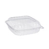 Clearseal Hinged-Lid Plastic Containers, 9.3 x 8.8 x 3, Clear, Plastic, 100/Bag, 2 Bags/Carton