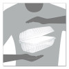 Showtime Clear Hinged Containers, Hoagie Container, 29.9 Oz, 5.1 x 9.9 x 3.5, Clear, Plastic, 100/Bag, 2 Bags/Carton