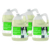 Floor Science Cleaner/Restorer Spray Buff, Citrus Scent, 1 Gal Bottle, 4/Carton