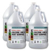 Calcium, Lime And Rust Remover, 1 Gal Bottle, 4/Carton