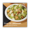 Paper Dinnerware, Plate, 8.5" Dia, White, 125/Pack, 4/Carton