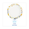 Deerfield Printed Paper Plates, 9" Dia, Coated/Soak Proof, White/Yellow/Green/Purple, 125/Pack, 8 Packs/Carton