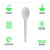 Plantware Compostable Cutlery, Spoon, Plastic, Pearl White, 50/Pack, 20 Pack/Carton