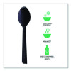 100% Recycled Content Cutlery, Spoon, Plastic, Black, 50/Pack, 20 Pack/Carton