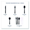 100% Recycled Content Cutlery Kit, Heavyweight Fork/Knife/Soup Spoon/Spoon, Plastic, Black, 250/Carton