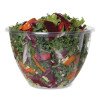 Salad Bowls, 48 Oz, 6.69" Diameter x 4.38" h, Clear, Plastic, 300/Carton