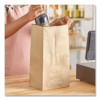 Grocery Paper Bags, 2# Size, X-Heavy-Duty, 50# Basis Weight, 4.13" x 2.63" x 7.88", Kraft, 250 Bags/Pack, 2 Packs/Bundle