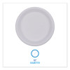 Hi-Impact Plastic Dinnerware, Plate, 10" Dia, White, 500/Carton