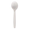 Heavyweight Polypropylene Cutlery, Soup Spoon, Plastic, White, 1,000/Carton