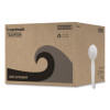 Heavyweight Polystyrene Cutlery, Spoon, Plastic, White, 1,000/Carton