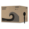 Heavyweight Polystyrene Cutlery, Spoon, Plastic, Black, 1,000/Carton
