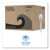 Mediumweight Polystyrene Cutlery, Spoon, Plastic, White, 100/Box, 10 Boxes/Carton