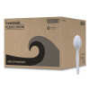 Mediumweight Polystyrene Cutlery, Spoon, Plastic, White, 100/Box, 10 Boxes/Carton