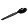 Plastic Cutlery, Heavyweight Spoon, Black, 1,000/Carton