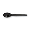 Plastic Cutlery, Heavyweight Spoon, Black, 1,000/Carton