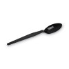 Individually Wrapped Heavyweight Spoon, Plastic, Black, 1,000/Carton