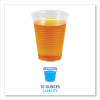 Translucent Plastic Cold Cups, 10 Oz, 100/Pack