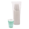 Translucent Plastic Cold Cups, 12 Oz, 50/Pack