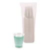 Translucent Plastic Cold Cups, 12 Oz, 50/Pack